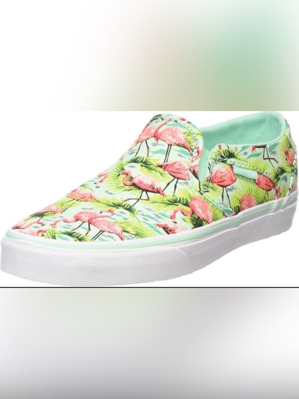 Vans Asher Flamingo Mint Tropical Print 6.5